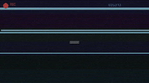 周末随拍记录 - 英语老师的大兔兔很好吃 原创视频